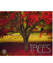 Rose Postage Saving Calendars